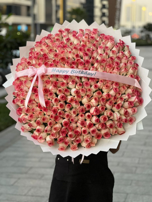 301 Jumilia Roses White Wrapping With Belt