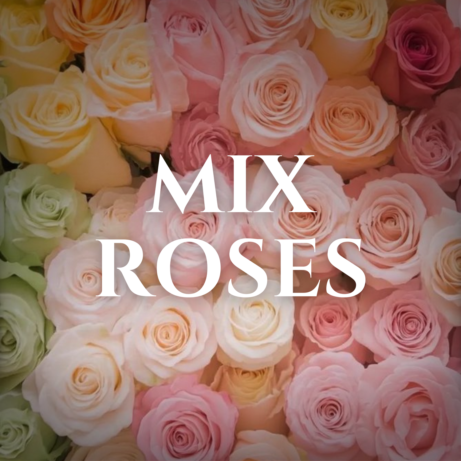MIx Roses