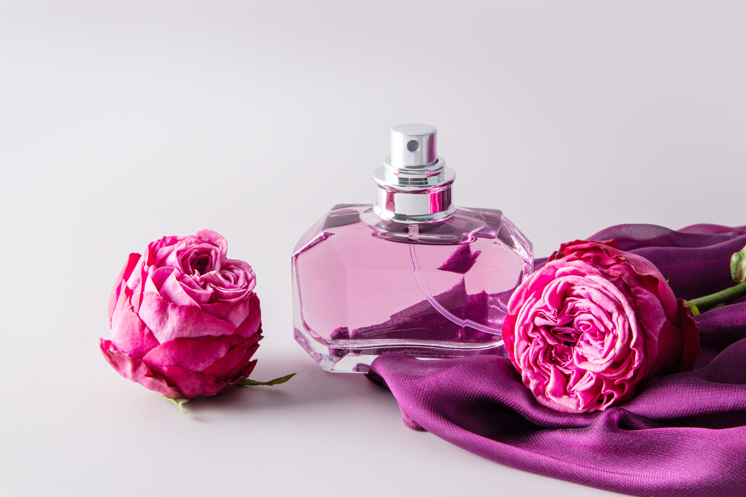 Gift & Perfumes