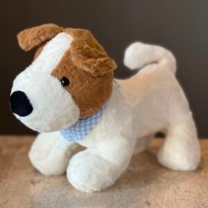 Small Teddy Puppy