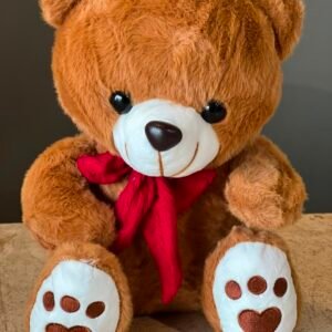 Brown color sitting Teddy bear
