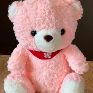 Pink color sitting Teddy bear