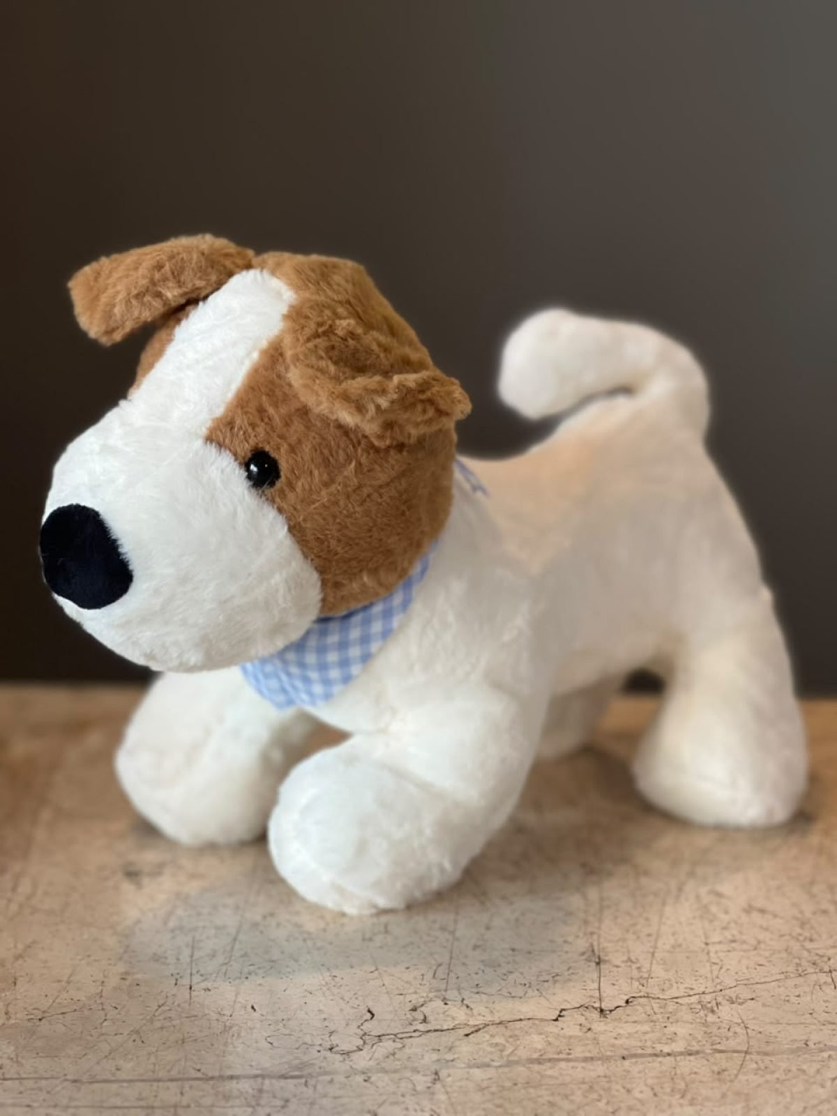 Teddy