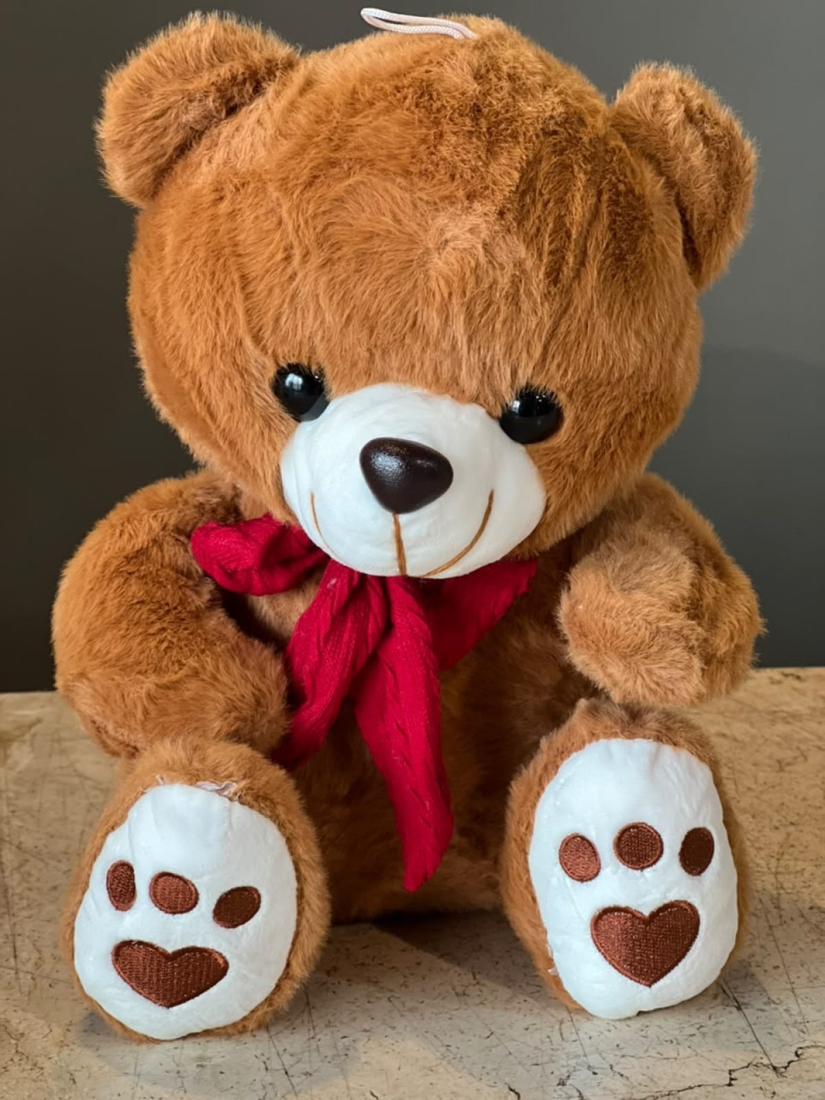 Brown color sitting Teddy bear