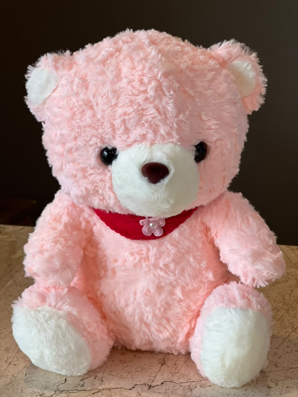 Pink color sitting Teddy bear